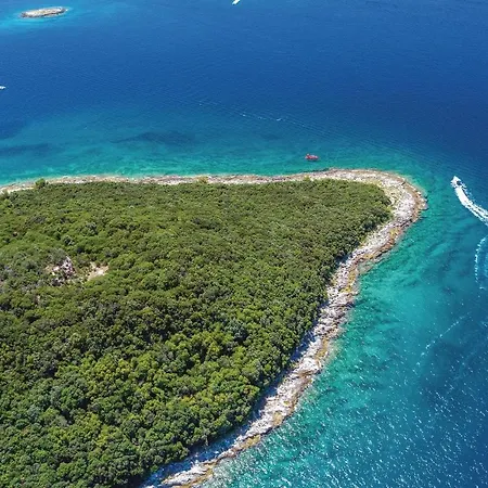 Awesome In With Wifi *